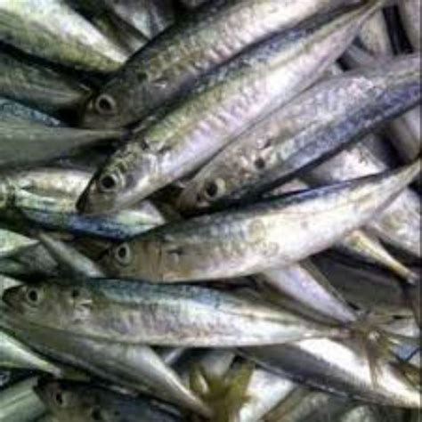 Jual Ikan Layang Deles Ikan Cue 1kg Shopee Indonesia