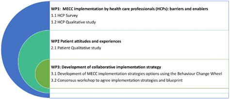 Visual Model Of The Study Work Packages Download Scientific Diagram