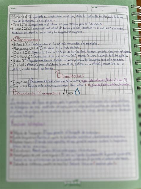 SOLUTION Bioelementos 2 Y Biomoleculas Studypool