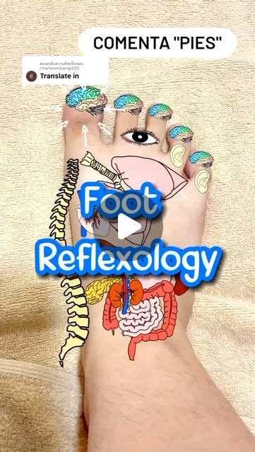 Pin By Edina Maria Caputo Ferreira On Reflexologia Reflexology Foot