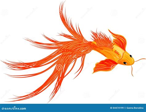 Goldfish Koi Fish Isolated On White Background Stock Illustration