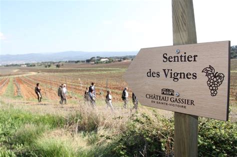 Sentier Des Vignes D Couverte De La Biodiversit Sur Le Domaine