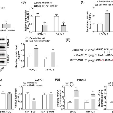 Downregulation Of Mir In Cancerassociated Fibroblasts Caf Exos