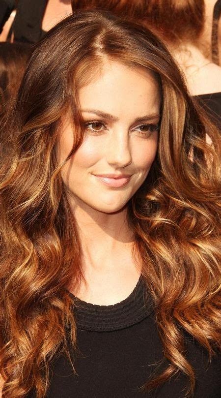 Golden Bronze Highlights Light Golden Brown Hair Brown Hair With Highlights Hair Highlights