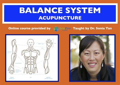 Balance System Acupuncture Online Course