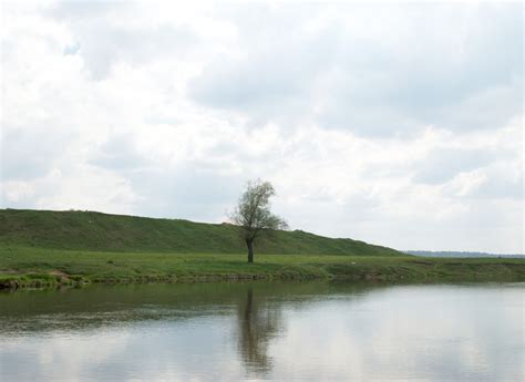 Fotos Gratis Paisaje Rbol Naturaleza Pantano Nube Colina Lago