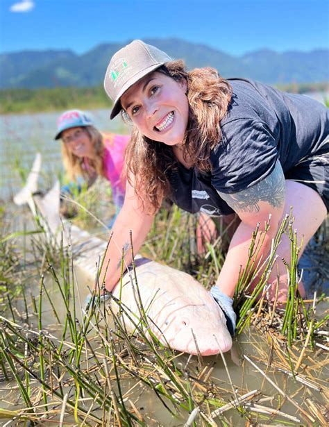 Fishing for Dinosaurs: Our Chase for White Sturgeon - North American
