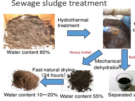 Sewage Sludge Treatment Plant Price - Sludge Carbonization Machine