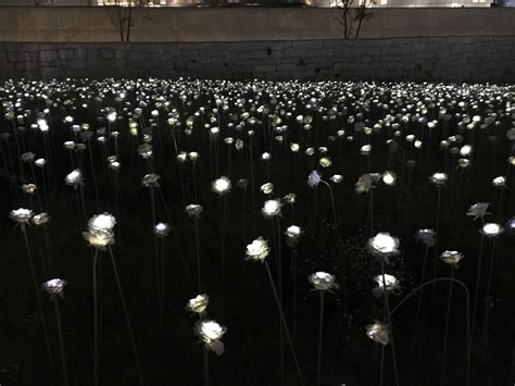 Dongdaemun Design Plaza Led Rose - Seoul, South Korea - Travel is my favorite Sport