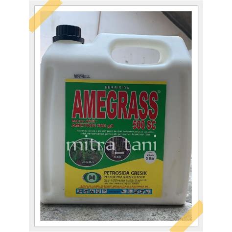 Jual Herbisida Sistemik Selektif Tebu Dan Jagung AMEGRASS 500SC 5liter