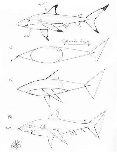 Como Dibujar un Tiburon Guia de dibujo Explicativa Arte de tiburón