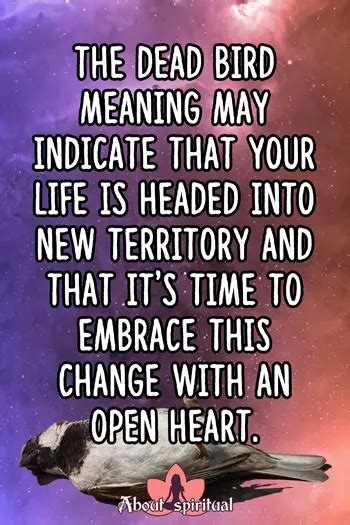 Dead bird meaning: What should you know about dead bird symbolism - About Spiritual