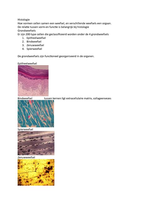 Vorm En Functie Hoorcollege 4 Histologie Spijsverteringsstelsel