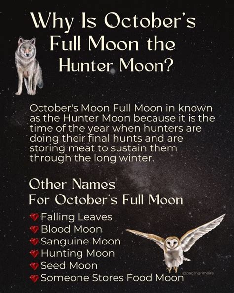 Full Moon October 2024 Rituals Meaning Keely Melessa