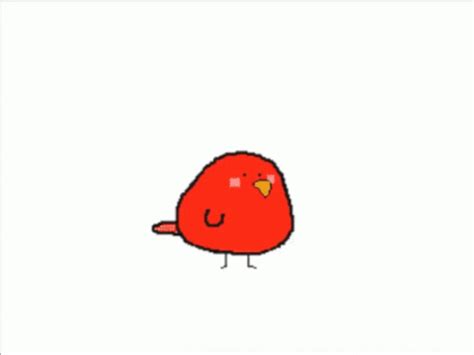 Birb Red Bird Meme GIF - Birb Red Bird Meme Stares Into Soul - Discover ...