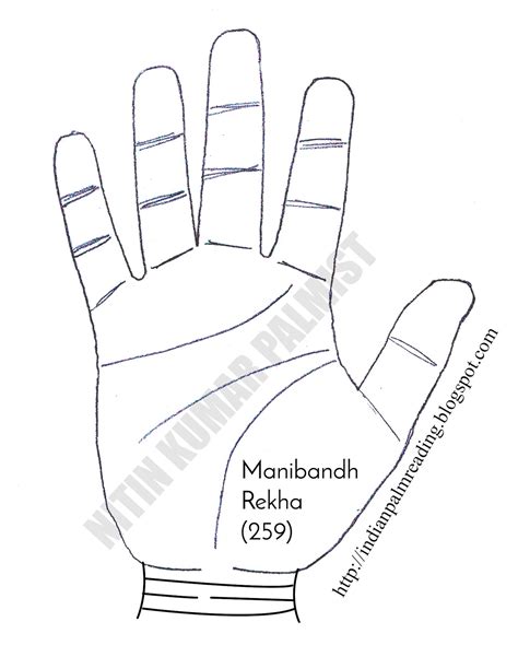 Description Of The Rascette Lines Indian Palmistry Indian Palmistry