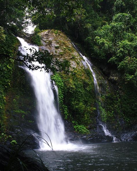 Visiting The Mossman Gorge Centre