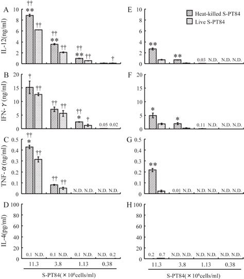 Il 12 Ifn γ Tnf α Or Il 4 Production From Splenocytes In Vitro