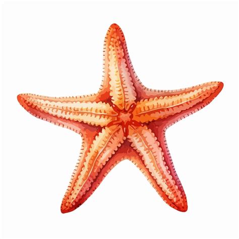 A Starfish With An Orange Starfish On Its Back Premium Ai Generated