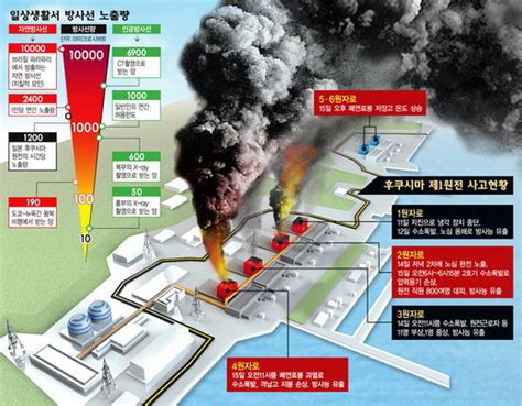 이번 지진으로 동해쪽 원자력 발전소 이상 발생으로 중단  유머 게시판