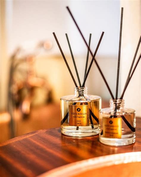 Comment Fonctionne Un Diffuseur De Parfum Par Capillarit