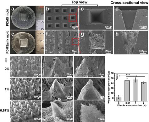 Characterizations Of Pdms Molds And Fibroin Scaffolds A A Digital