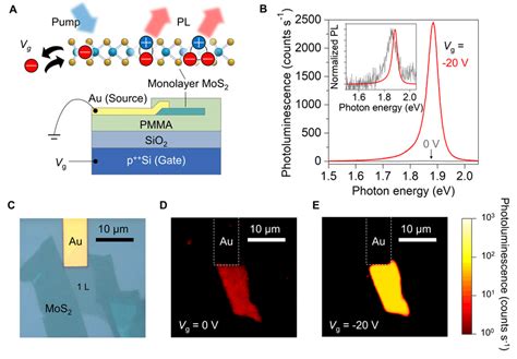 Schematics Of The Device And The Gate Dependence Of Photoluminescence Download Scientific