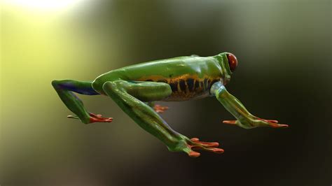 White Lipped Tree Frog