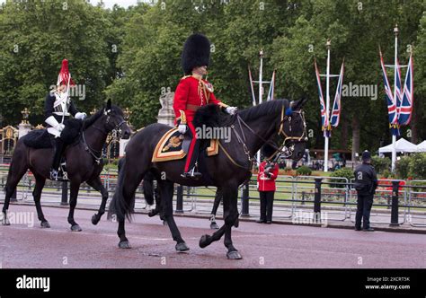 Lieutenant Colonel Grenadier Guards Leader Of The Parade Trooping The