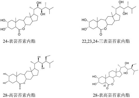 芸苔素内酯的纯化方法与流程