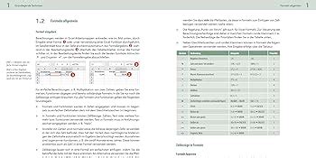 Excel Formeln Und Funktionen Profiwissen Im Praktischen Einsatz F R