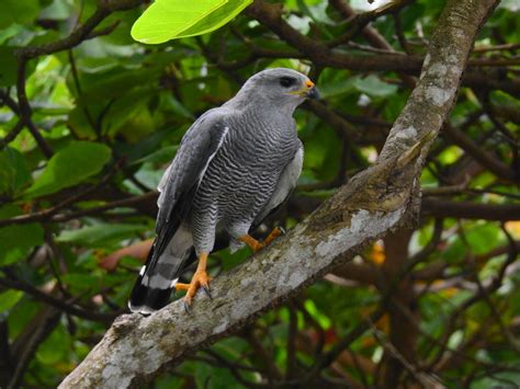 Playa Hermosa-Punta Mala National Wildlife Refuge Photos