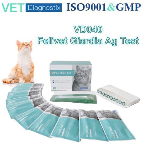 Giardia AG Test For Cat Feline Giardia Antigen Rapid Test Kit China