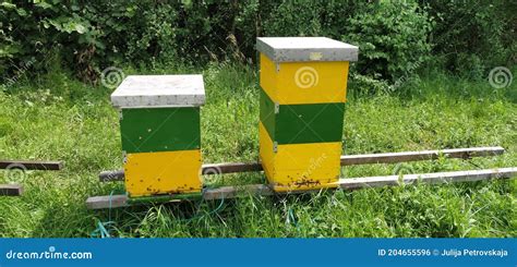 Hives With Bees Beekeeping Hives Standing In Nature And Are Painted Yellow Green And Blue