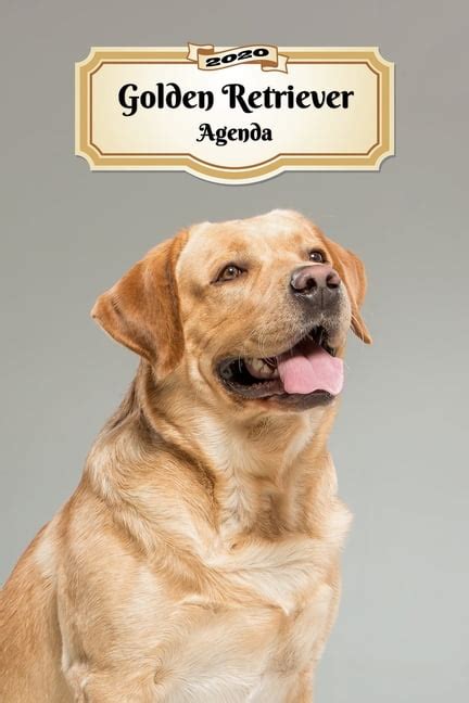 2020 Golden Retriever Agenda 107 Pagine Dimensioni DIN A5