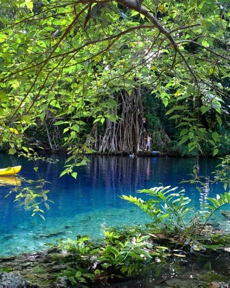 Blue Hole Isla de Espíritu Santo Vanuatu Vanuatu South Pacific