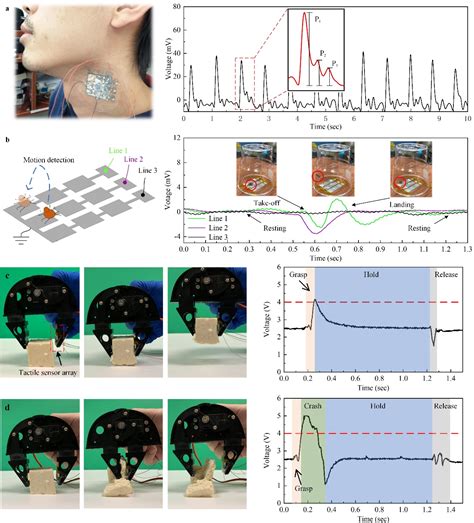 深港两地高校提出新型柔性触觉传感器阵列 相关成果在《advanced Science》发表深圳新闻网