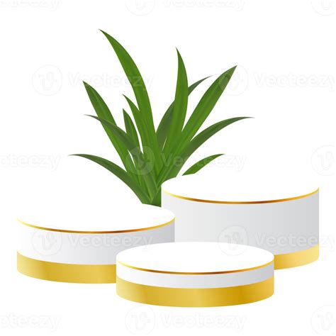 White And Gold D Podium With Tropical Leaf Perfect For Product Display