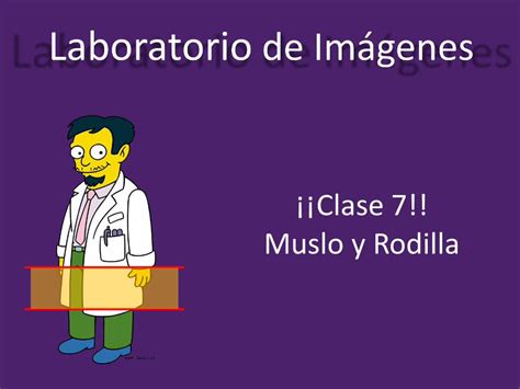 Pdf Clase Muslo Y Rodilla Anatomia D Ar Y Ac Que Pas