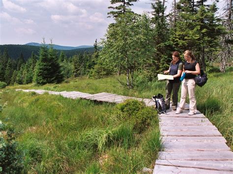 Harzer Hexen Stieg Hiking In The Harz