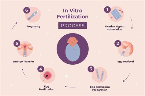 Step By Step Ivf Procedure At Pahlajanis Hospital Raipur