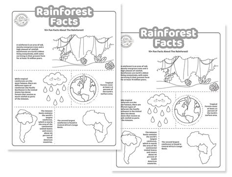Rainforest Drawing Worksheets