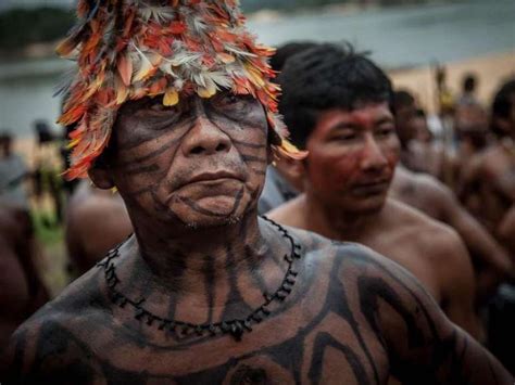 Fiocruz Ind Genas Munduruku Apresentam N Veis Alarmantes De Merc Rio