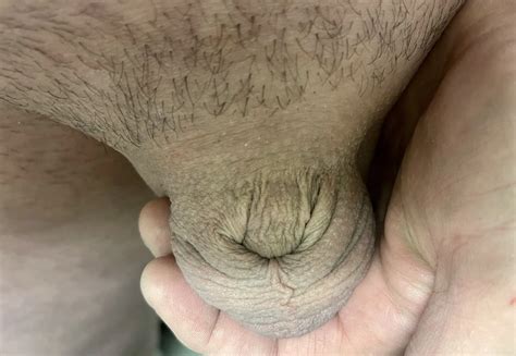 Me And My Inverted Cock Nude Pics XHamster