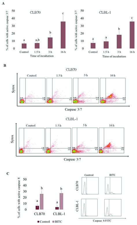 Activation Of Caspases In Clb And Clbl Cells After Treatment With