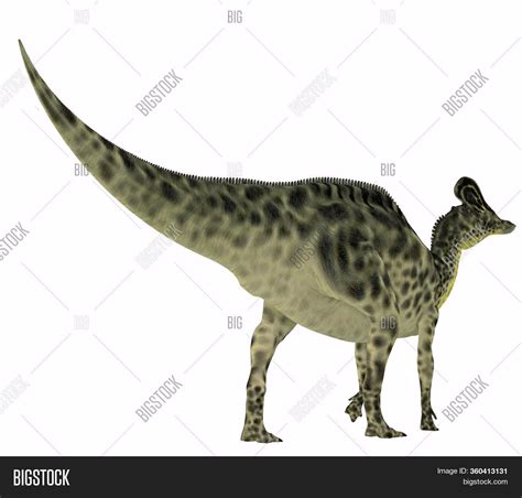 Velafrons Dinosaur Image & Photo (Free Trial) | Bigstock