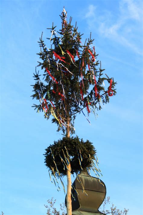 Einladung Zum Maibaumaufstellen Freiwillige Feuerwehr Altenberg