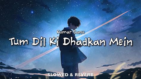 Tum Dil Ki Dhadkan Mein Kumar Sanu Slowed And Reverb Dhadkan Hd