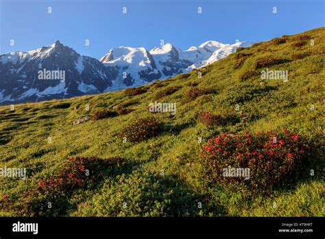 Mont Blanc France Stock Photo Alamy