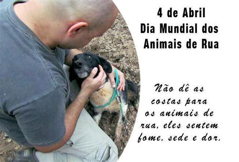 De Abril Dia Mundial Dos Animais De Rua Santu Rio E Par Quia De